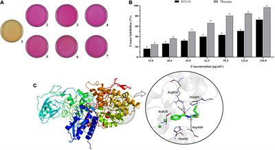 Synergistic antifungal interaction of N-(butylcarbamothioyl) benzamide and amphotericin B against Cryptococcus neoformans